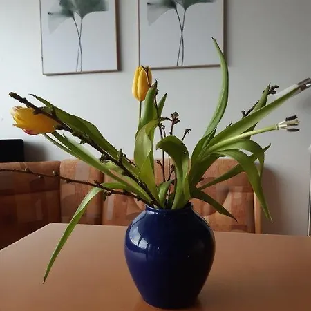 Apartamento Mit Schoener Weitsicht Auf Bodensee Und Berge Mit Indoorpool